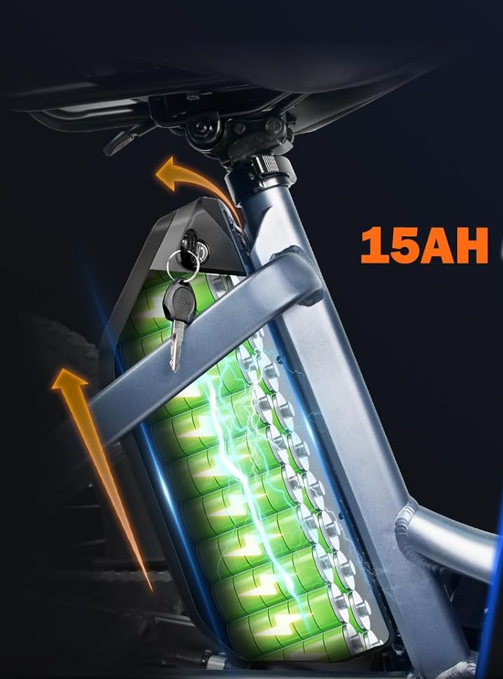 Smartravel E Tricycle ST301 battery