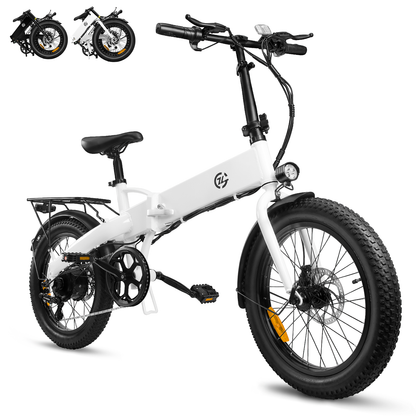 Zoonlai   Falcon