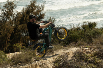 Smartravel Raptor ST202 GPS-Enabled All-Terrain Electric Bike