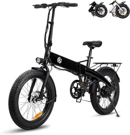 Zoonlai   Falcon