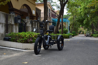 Smartravel Hauler ST301 Dual Battery Cargo Electric Tricycle