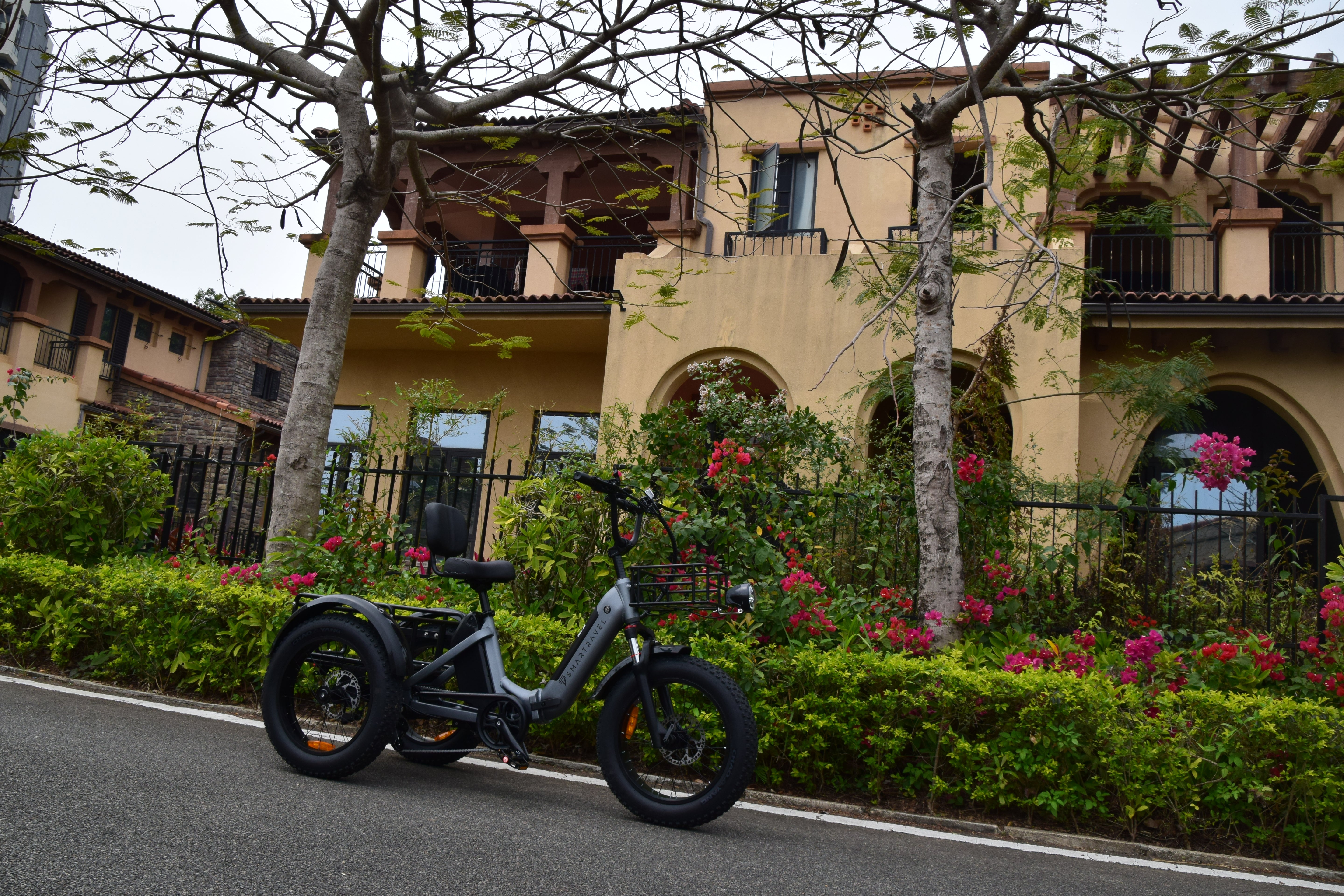 Smartravel Hauler ST301 Dual Battery Cargo Electric Tricycle