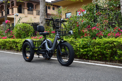 Smartravel Hauler ST301 Dual Battery Cargo Electric Tricycle