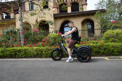 Smartravel Hauler ST301 Dual Battery Cargo Electric Tricycle