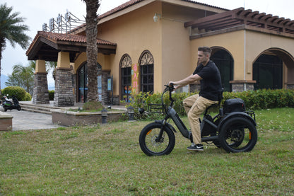Smartravel Hauler ST301 Dual Battery Cargo Electric Tricycle