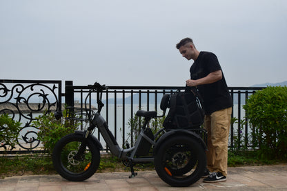 Smartravel Hauler ST301 Dual Battery Cargo Electric Tricycle