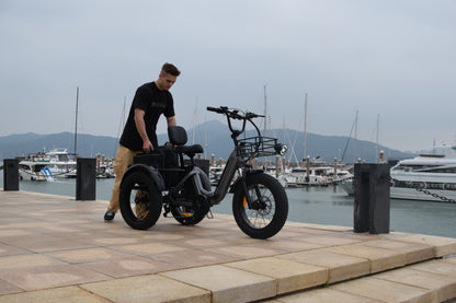 Smartravel Hauler ST301 Dual Battery Cargo Electric Tricycle