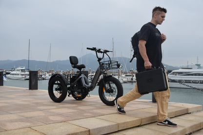 Smartravel Hauler ST301 Dual Battery Cargo Electric Tricycle