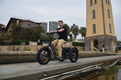 Smartravel Hauler ST301 Dual Battery Cargo Electric Tricycle